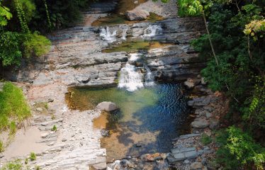 JUNGLE DREAMS FARM: WHERE NATURE MEETS SERENITY – 20 ACRES